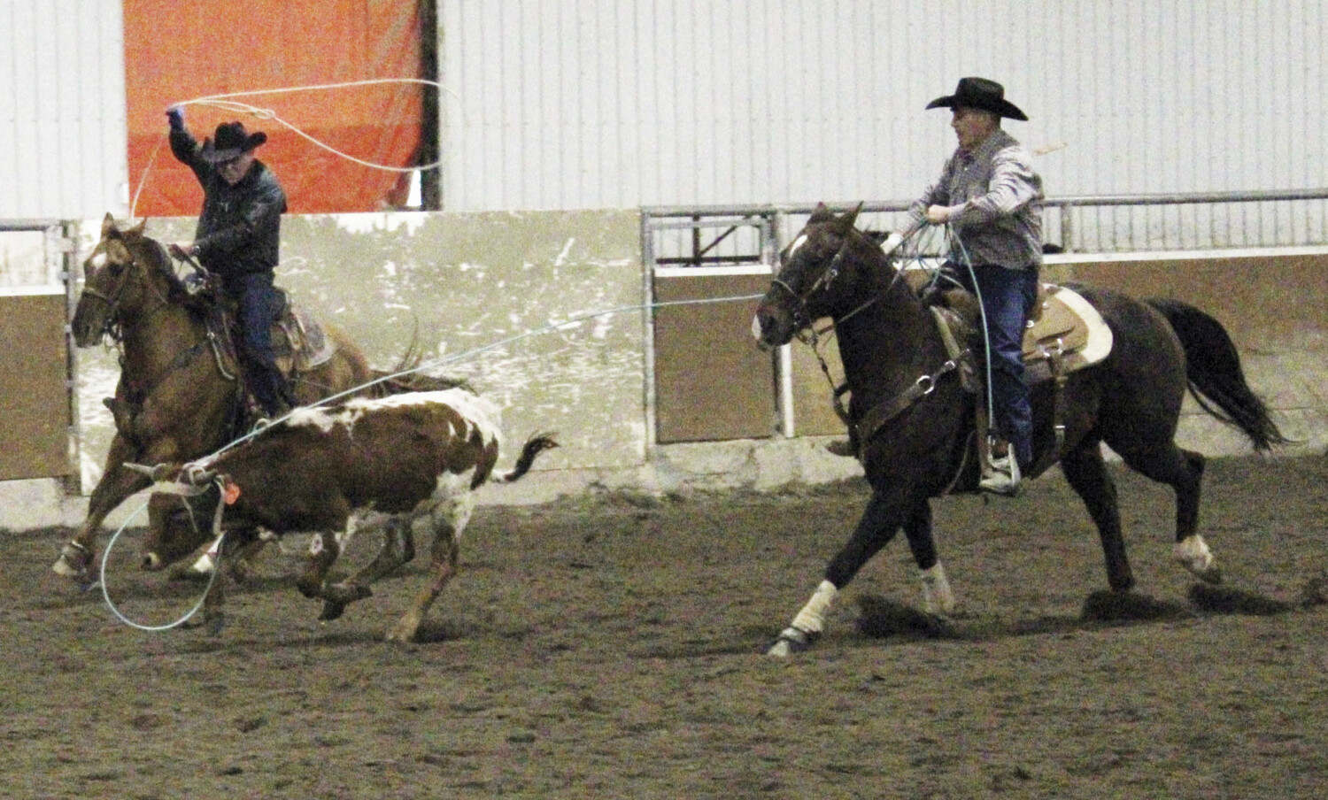 Classic Rodeo